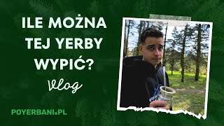 5. Ile można dziennie pić yerba mate?