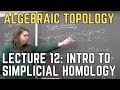 Algebraic Topology 12: Intro to Singular Homology