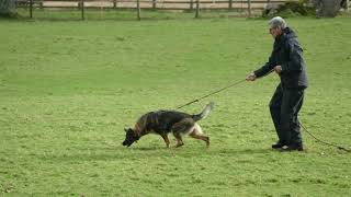 TPD Flo tracking