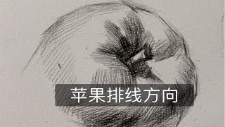 素描苹果排线方向讲解