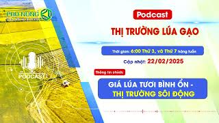 Giá lúa gạo hôm nay 22/02/2025 | Giá lúa tươi bình ổn - thị trường sôi động | Phú Nông