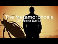 The Metamorphosis Overview: Kafka's Portrait of Identity and Isolation