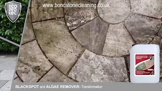 ECOPROTEC - Black Spot and Algae Remover - Drone Footage