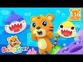 Baby Shark | The Wheels On The Bus + More Kids Songs & Nursery Rhymes & Animals Songs - BabyTiger