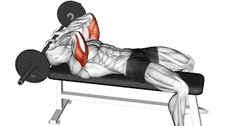 Powerful Tricep Exercises to Build Strength\