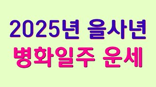 2025년운세, 을사년운세(병화일주편)