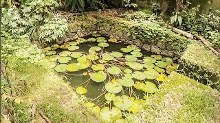 Rainwater Water Harvesting Kerala India ♻ Hello Monsoon!! Understanding Water Patterns \u0026 Soil ❤