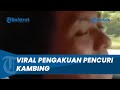 Viral Pengakuan Nyeleneh Pelaku Pencurian Kambing, Ngaku Dirinya Hanya Ambil Tali Sepanjang 3 Meter