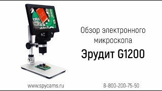 Обзор электронного светового микроскопа Эрудит G1200