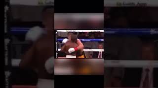 Floyd Mayweather actually knocked out logan Paul