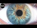 Eye Photography - How To Take A Professional Picture Of Your Iris | In-depth Tutorial