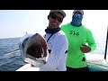 slow trolling for monster kingfish ft. 1rod1reelfishing