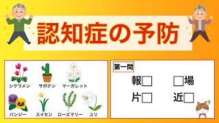 脳トレ！　お花を覚えて記憶力強化！　熟語問題に挑戦！　2023年11月6日