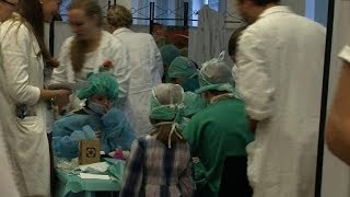 Austrian Teddy Bear Clinic aims to beat hospital fears