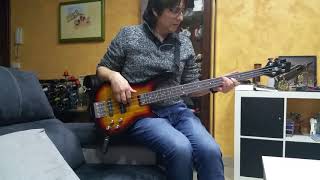 Tina turner What's love got to do - Cover Bass