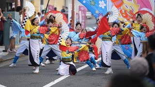 九十九里浜 荻組いぶき 2019 黒潮よさこい  銀座通り会場