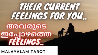 #മലയാളം_tarot അവരുടെ ഇപ്പോഴത്തെ Feelings.🤔🧐😍 Their Current Feelings #മലയാളം_tarot