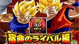 【ドッカンバトル】極限Zバトル「宿命のライバル編」レベル３０に挑戦！