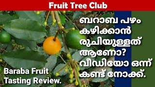 ബറാബ പഴം കഴിക്കാൻ രുചികരമാണോ? || Baraba Fruit Tasting Review!