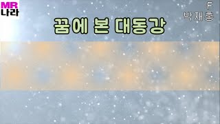 꿈에본대동강-박재홍 전문가,프로용 반주 MR,노래방, 멜로디제거 (엠알나라)