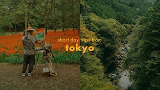 2 day trips from tokyo - kinchakuda manjushage park + lake okutama | fujifilm x100v vlog