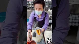 Lanzhou Brother Wan takes you to eat Gansu food（6）蘭州の兄弟ワンが甘粛省の料理を食べに連れて行ってくれます（6）