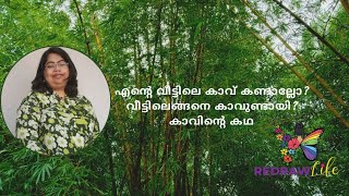 100 വർഷം പഴക്കമുള്ള വീട്ടിലെ കാവ്. വർഷം തോറും നടത്തുന്ന പൂജ കാണാം.