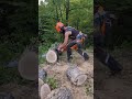 Piped #husqvarna372xp #lumberjack #asmr #chainsaws #husqvarna