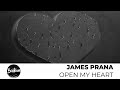 James Prana, J. Rain - Open My Heart (Avicii Tribute) [Progressive House]