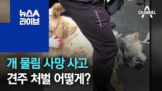 개 물림 사망 사고…견주 처벌 어떻게? | 뉴스A 라이브