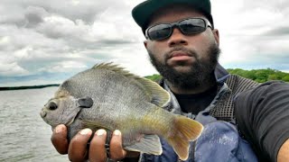 Catching 1 POUND bluegill For Suprise Tournament