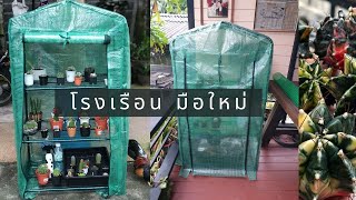 ชุดโรงเรือนขนาดเล็กจากshopee สำหรับมือใหม่ หักปลูกแคสตัส ราคาประหยัด