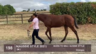 Lot 198 - c. BORN TO SEA x AUSSIE STYLE