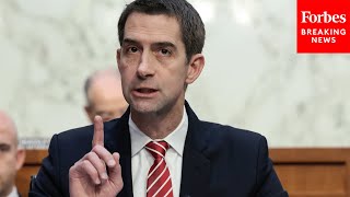 'We Have To Fish In A Much Bigger Pool': Tom Cotton Urges Military To Broaden Recruiting Approach