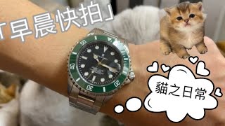 7.「STEINHART」潛水錶快拍 #steinhart #金禧商場 #金輝鐘錶行