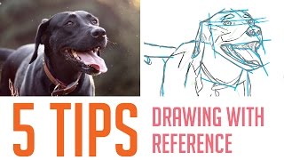 5 Tips on How I Draw From Reference (For Beginners)