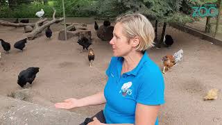 Zu Besuch in der Futtermeisterei im Zoo Rostock