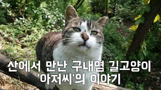 [22똥괭이네 스토리] 산에서 만난 구내염 길고양이 '아저씨'의 이야기