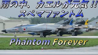 雨の中、カエルが元気!! 百里基地 スペマファントム ～Phantom Forever～