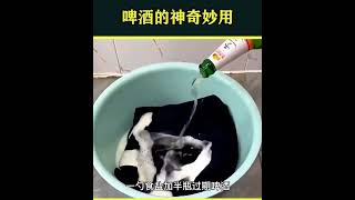 啤酒的神奇妙用