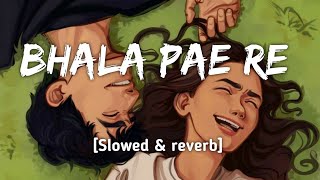 Bhala Pae Re [Slowed \u0026 reverb] Humane Sagar \u0026 Aseema Panda | Lofi Song | Bhala Pae Re Odia Lofi song