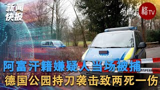 德国公园持刀袭击两死一伤 阿富汗籍嫌疑人当场被捕【新闻快报】