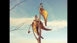 Rudiger Roll Milkweed - How to Process Milkweed for Primitive Fire Making - All Natural Fire Roll