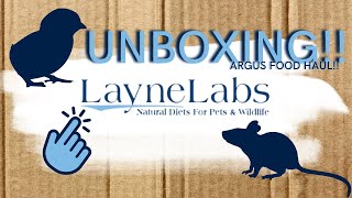 UNBOXING: LAYNE LABS FEEDER RODENTS \u0026 DAY OLD QUAILS/ CHICKS! 📦🐁🐥🐦‼️