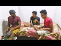 බොන්ගො පලනවා👌සුපිරි mix එකක් part3