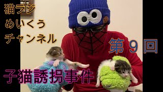 第9回　猫ラジめいくうちゃんねる【メインクーン動画】子猫誘拐事件　生後12日目