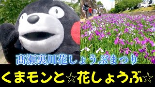 【髙瀬裏川花しょうぶまつり】くまモンと☆花しょうぶ☆【番外編】