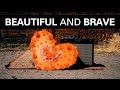 Beautiful and brave - Official Video