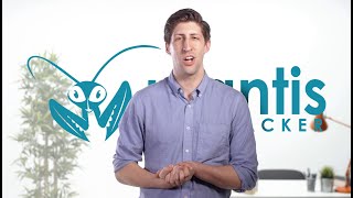 Mantis test management integration with TestLodge