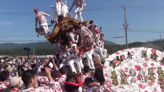 平成28年度　南河内だんじり祭り　建水分神社　宮入　寛弘寺